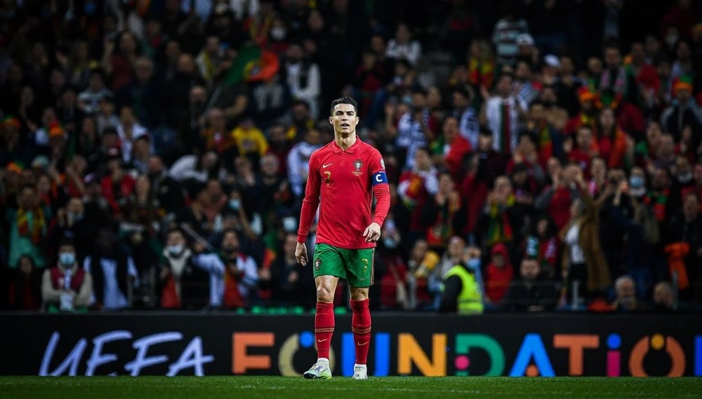 揭示浙江稠 揭示浙江稠